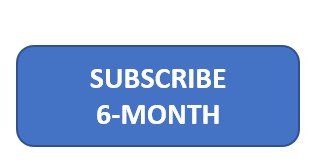 6 month subscription